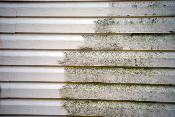 Best Insulated Siding Installation  in Mcswain, CA