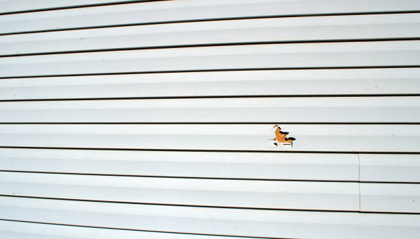 Best Custom Trim and Detailing for Siding  in Mcswain, CA