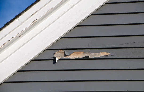 Best Siding Painting and Refinishing  in Mcswain, CA